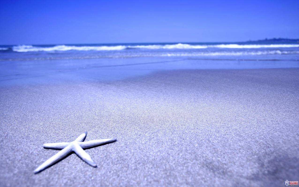 ks买赞平台(ks买赞平台下载) ks买赞平台(ks买赞平台下载)