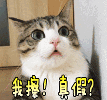 全民k歌业务自助下单平台（ks业务24小时自助下单平台最便宜）