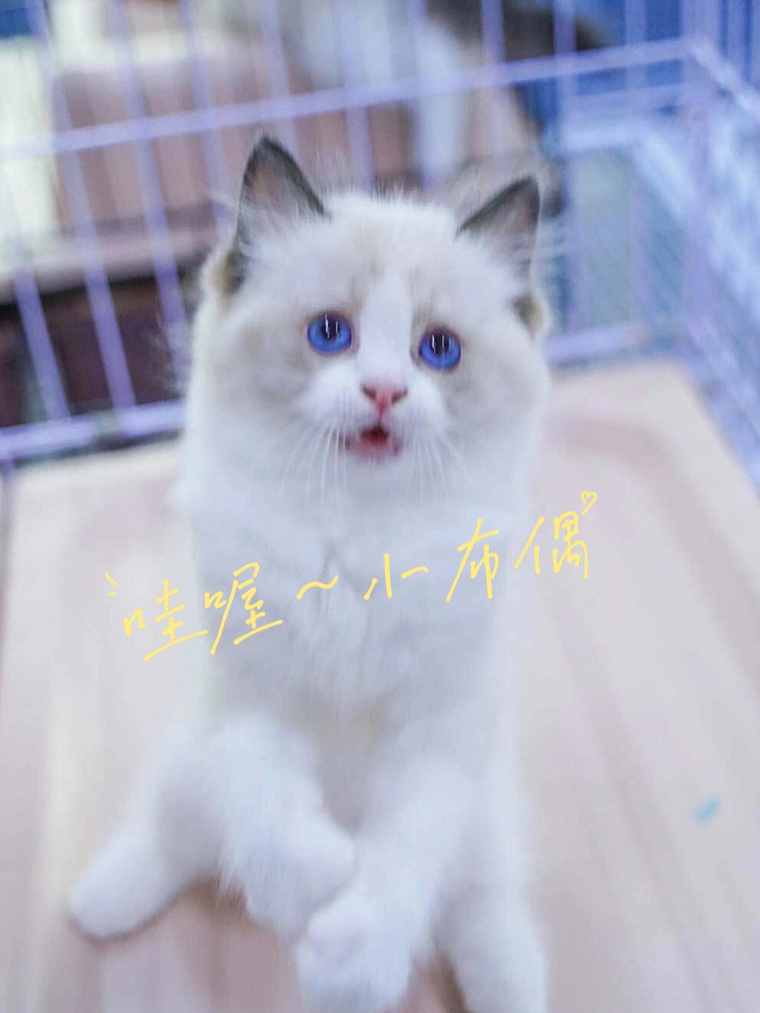 小仙女代刷网平台(小仙女app官方分享二维码) 小仙女代刷网平台(小仙女app官方分享二维码)