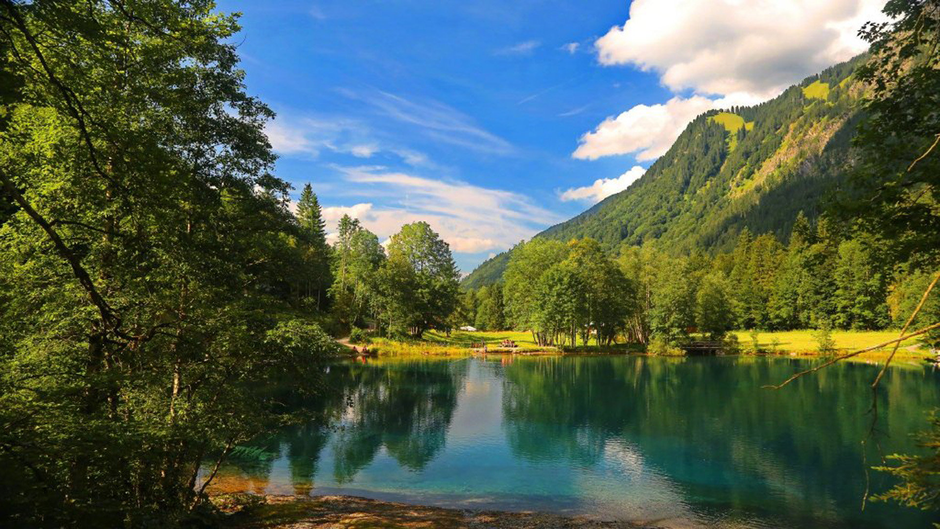 0元名片赞免费下单(0元名片赞免费下单500赞) 0元名片赞免费下单(0元名片赞免费下单500赞)