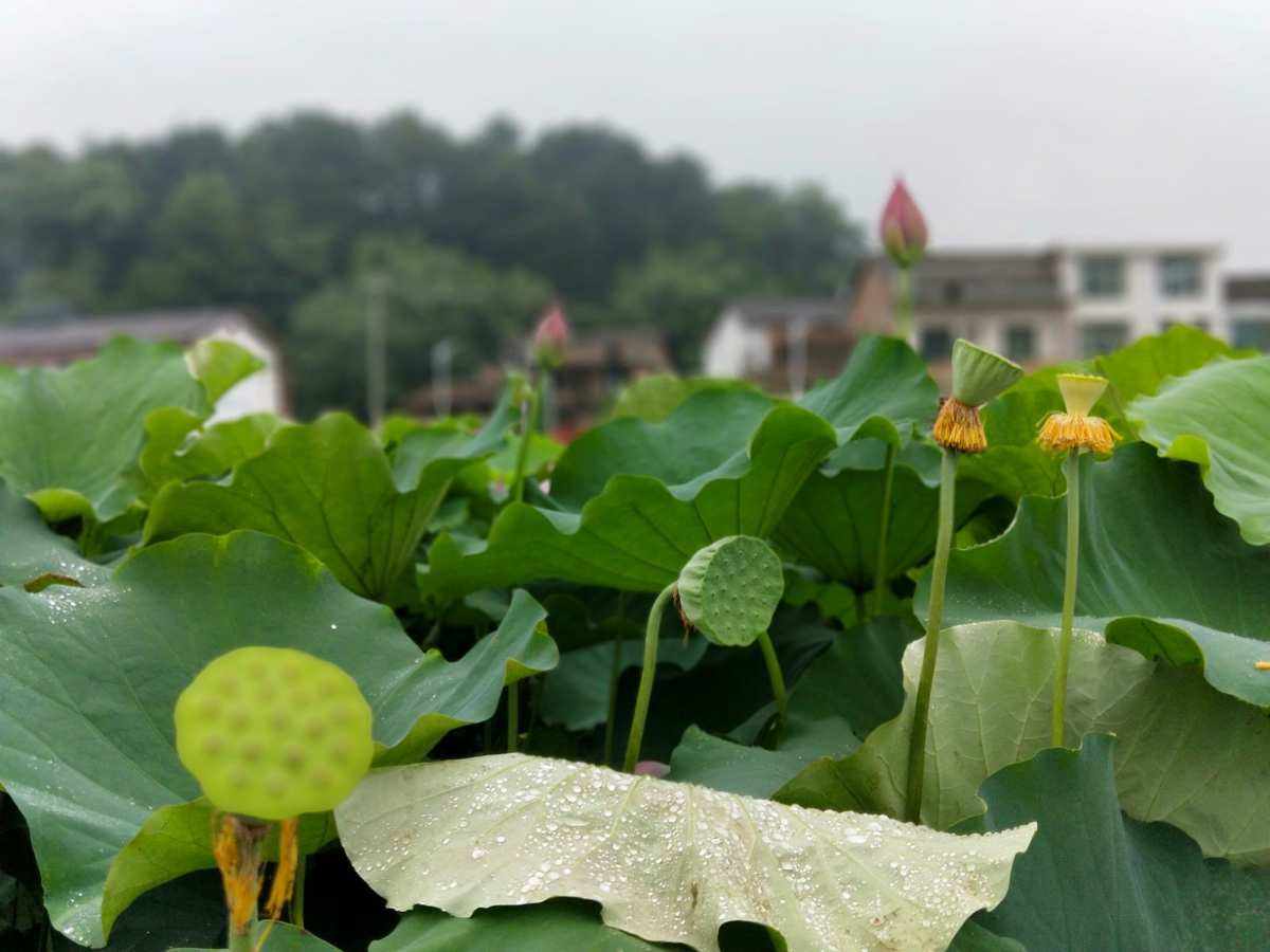 南荷刷网站(南荷业务网站) 南荷刷网站(南荷业务网站)